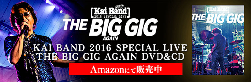 甲斐バンド　THE BIG GIG DVD比較的きれいです