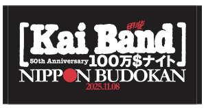 100万＄ナイト日本武道館　バスタオル